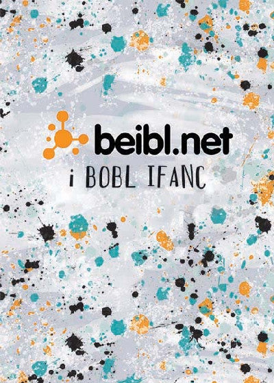 Clawr llyfr / Book cover: Beibl.Net - i Bobl Ifanc