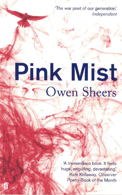 Clawr llyfr / Book cover: Pink Mist