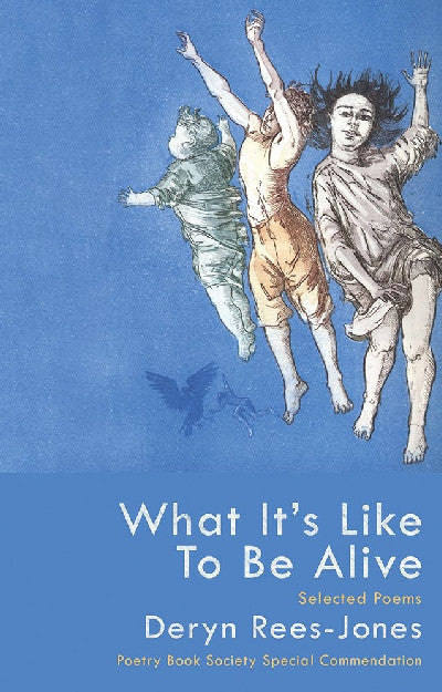 Clawr llyfr / Book cover: What It's like to Be Alive - Selected Poems — Selected Poems