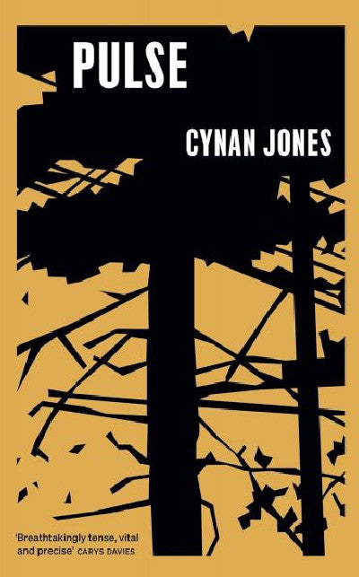 Clawr llyfr / Book cover: Pulse
