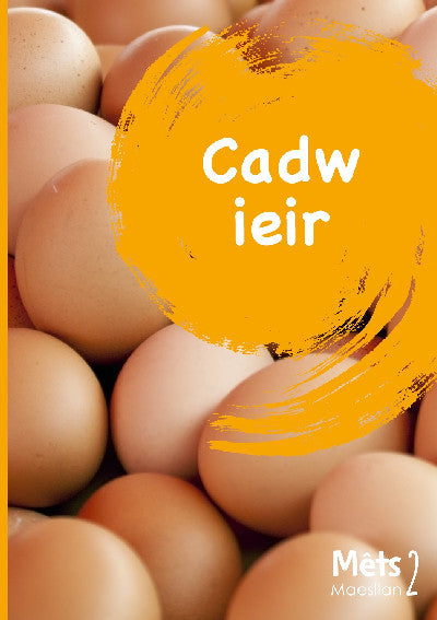 Clawr llyfr / Book cover: Mêts Maesllan 2 - Cadw Ieir
