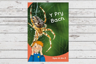 Clawr llyfr / Book cover: Dyna Chi Dric: Y Pry Bach