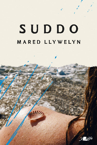 Clawr llyfr / Book cover: Suddo