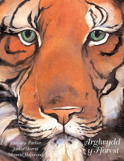 Clawr llyfr / Book cover: Arglwydd y Fforest