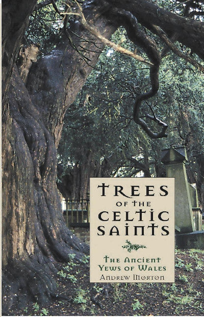 Clawr llyfr / Book cover: Trees of the Celtic Saints The Ancient Yews of Wales