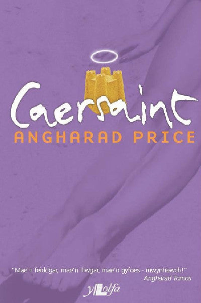 Clawr llyfr / Book cover: Caersaint
