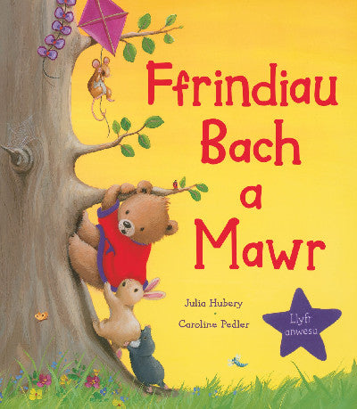 Clawr llyfr / Book cover: Ffrindiau Bach a Mawr