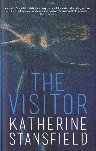 Clawr llyfr / Book cover: Visitor, The