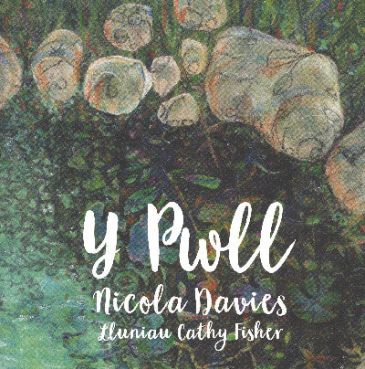 Clawr llyfr / Book cover: Y Pwll