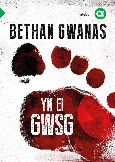 Clawr llyfr / Book cover: Cyfres Amdani: Yn ei Gwsg