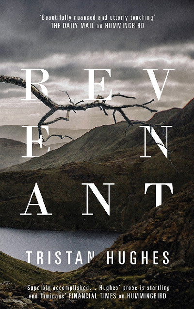 Clawr llyfr / Book cover: Revenant