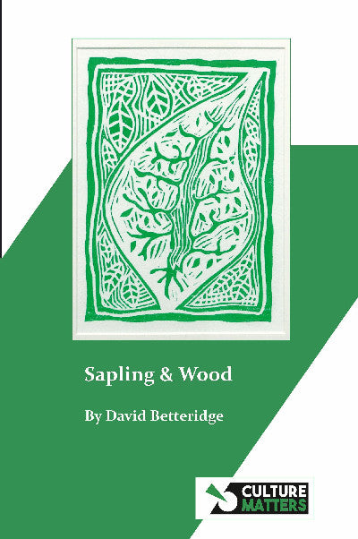 Clawr llyfr / Book cover: Sapling and Wood