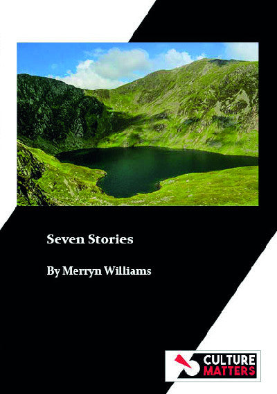 Clawr llyfr / Book cover: Seven Stories