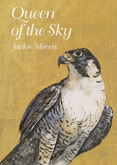 Clawr llyfr / Book cover: Queen of the Sky