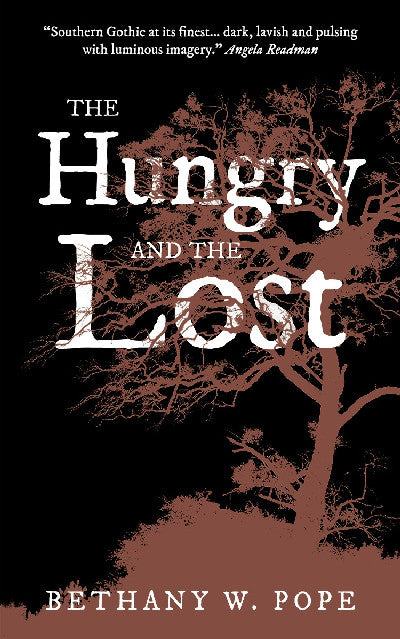 Clawr llyfr / Book cover: Hungry and the Lost, The