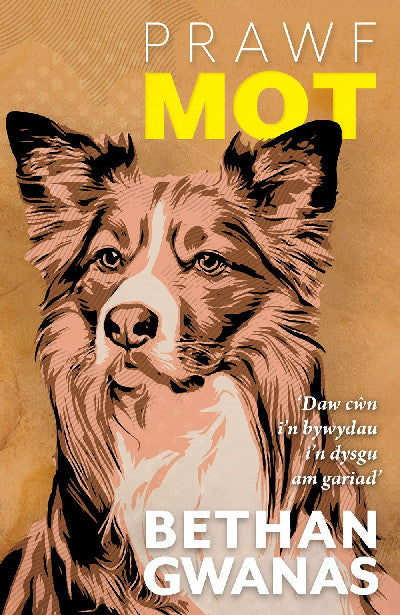 Clawr llyfr / Book cover: Prawf Mot