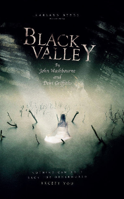 Clawr llyfr / Book cover: Black Valley