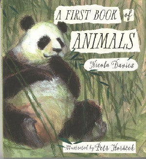 First Book of Animals, A - Siop Y Pentan