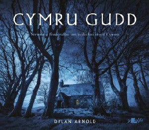 Cymru Gudd - Siop Y Pentan