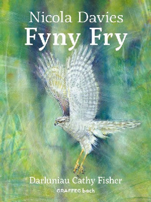 Fyny Fry - Siop Y Pentan