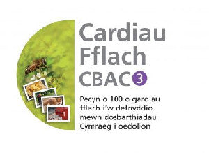 Cardiau Fflach CBAC 3 - Siop Y Pentan
