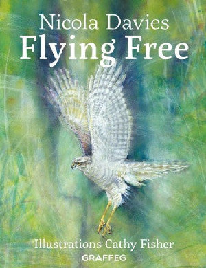 Country Tales: Flying Free - Siop Y Pentan