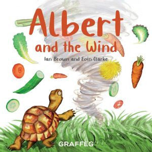 Albert and the Wind - Siop Y Pentan