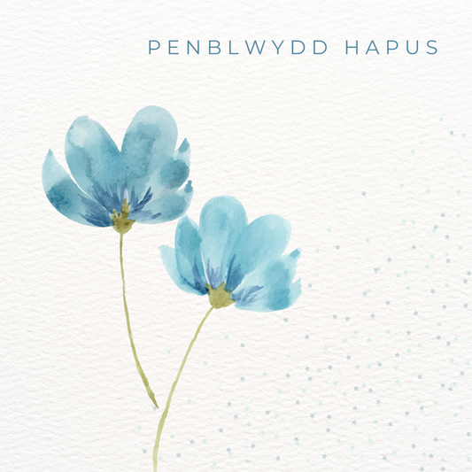 Penblwydd Hapus | Cardiau.Cymru - Siop Y Pentan