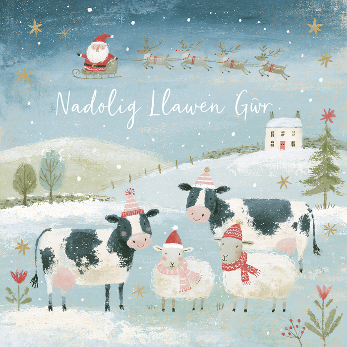 Nadolig Llawen Gŵr | Cardiau.Cymru