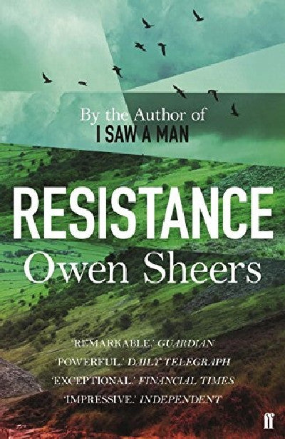 Clawr llyfr / Book cover: Resistance