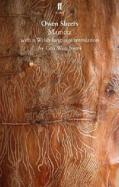 Clawr llyfr / Book cover: Mametz