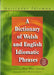 Dictionary of Welsh and English Idiomatic Phrases, A / Geiriadur Idiomau