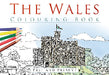 The Wales Colouring Book - Past and Present