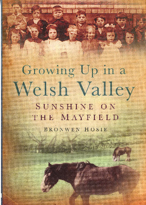 Growing up in a Welsh Valley - Sunshine on the Mayfield