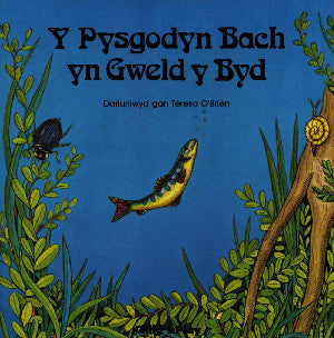 Y Pysgodyn Bach yn Gweld y Byd  