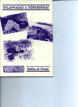 Dylanwadau a Diddordebau