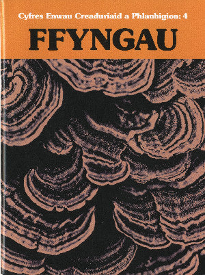 Cyfres Enwau Creaduriaid a Phlanhigion: 4 Ffyngau