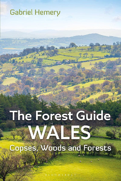 Clawr llyfr / Book cover: The Forest Guide - Wales