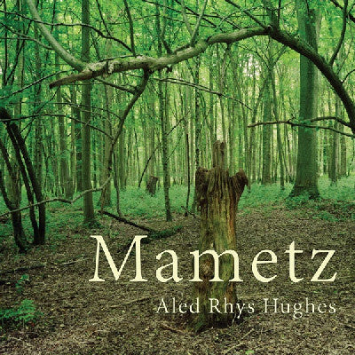 Clawr llyfr / Book cover: Mametz