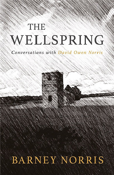 Clawr llyfr / Book cover: Wellspring, The