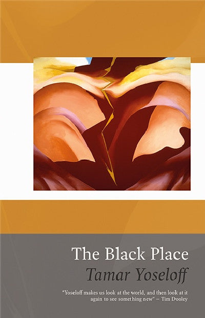 Clawr llyfr / Book cover: Black Place, The