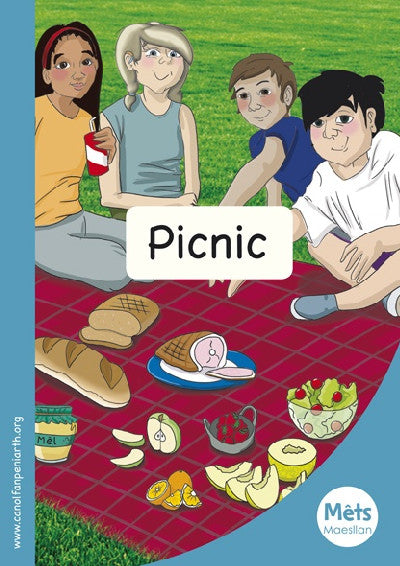 Clawr llyfr / Book cover: Mêts Maesllan: Picnic