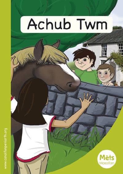 Clawr llyfr / Book cover: Mêts Maesllan: Achub Twm