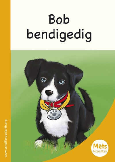 Clawr llyfr / Book cover: Mêts Maesllan: Bob Bendigedig