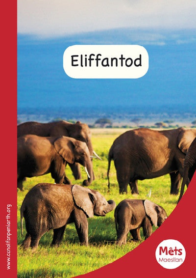 Clawr llyfr / Book cover: Mêts Maesllan: Eliffantod