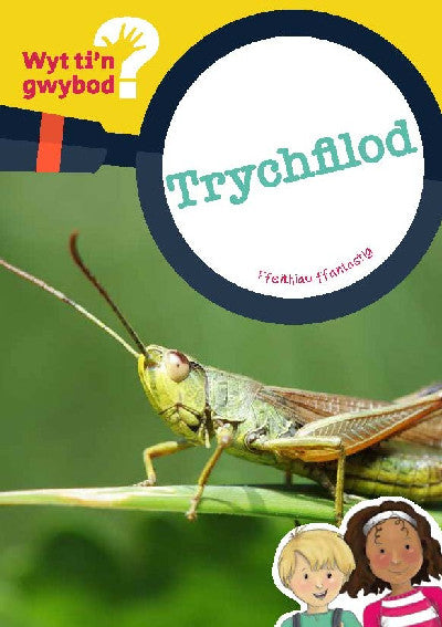 Clawr llyfr / Book cover: Cyfres Wyt Ti'n Gwybod?: Trychfilod