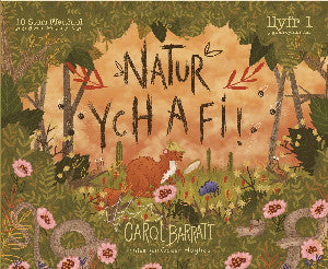 Natur Ych a Fi