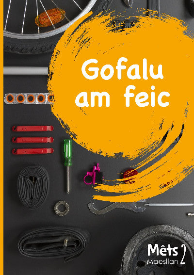 Clawr llyfr / Book cover: Mêts Maesllan 2 - Gofalu am Feic