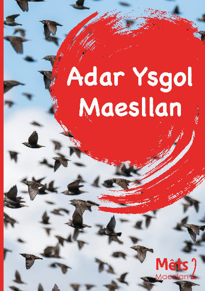 Clawr llyfr / Book cover: Mêts Maesllan 2 - Adar Ysgol Maesllan