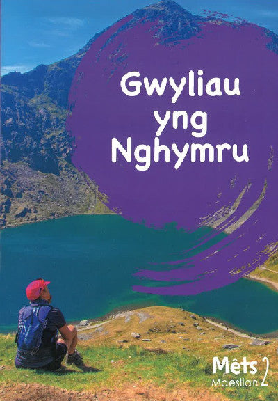 Clawr llyfr / Book cover: Mêts Maesllan 2 - Gwyliau yng Nghymru
